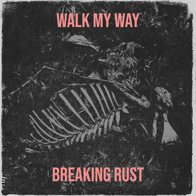 Breaking Rust